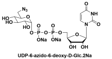 UDP-6-azido-6-deoxy-D-Glucosedisodiumsaltp-6-B-6-Ó-D-