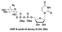 UDP-6-N3-GlucoseUridine5'-(trihydrogendiphosphate)P'-(6-azido-6-deoxy-alpha-D-glucopyranosyl)ester