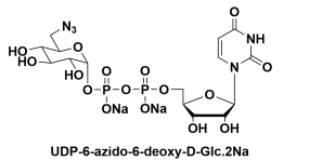 5'-() P'-(6-B-6-Ó-ALPHA-D-ǻ)UDP-6-N3-Glucose