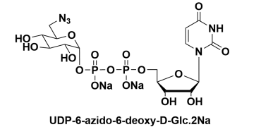 CAS:868141-12-2UDP-6-N3-GalactoseUDP-6-B-6-Ó-D-Ƕc} 
