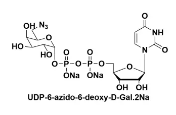 UDP-6-B-6-Ó-D-Ƕc}UDP-6-azido-6-deoxy-D-Galactose disodium salt