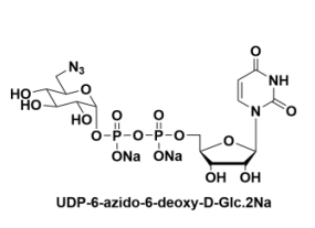 UDP-6-N3-GlcNAcUDP-N-BǰBն-N-ǰ