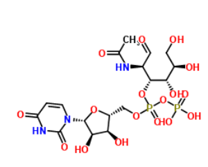 UDP-GALNACBN-ǰ7277-98-7