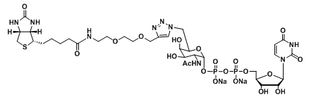 UDP-6-Biotinyl-GalNAcż(lin)N-ǰ