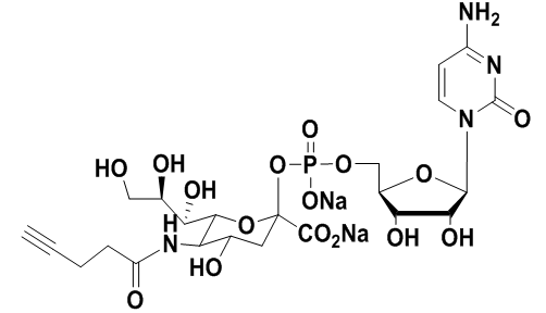 ȲCMP-ҺCMP-C5-alkynyl-Sialic Acid 