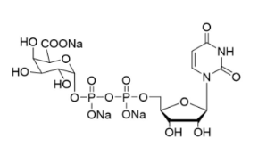 նȩc}UDP-a-D-galacturonidetrisodiemsalt