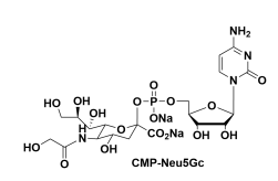 cas1955-26-6UDP-L-RhamnoseUDP