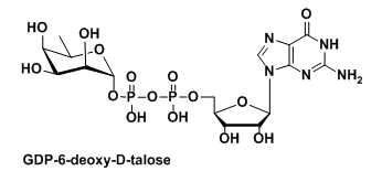 B5--6-Ó-a-D-ʯǶc}BʺʯGDP-6-deoxy-D-talose