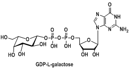 (bio)ӛնGDP-L-GDP-L-galactoseCAS:16689-00-2