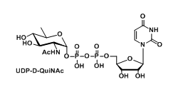UDP-D-QuiNAcUDP-N-acetyl-d-quinovosamineUDP-N--d-