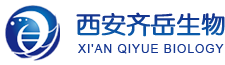 MOFdˎ(UiO-PDT) DOXZIF-90{ ̹bd