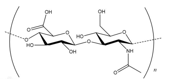Ce6-Hyaluronicacid ͸|(zh)-Ce6