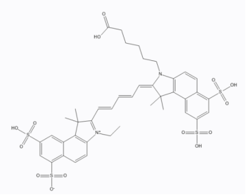 tȾCY5.5(bio)ӛù