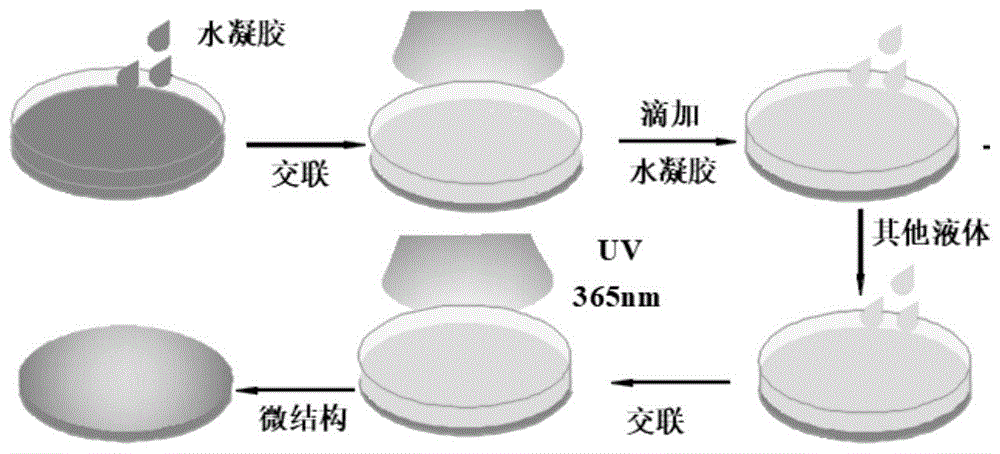 NOTA-PEG-glycyrrhetinic acidNOTA-PEG2000-GAh(hun)w-PEG-ʲݴ
