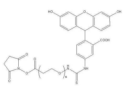 FITC-PEG-NHSF(xin)luorescein PEG2000 NHSɹؾҶ-N-u