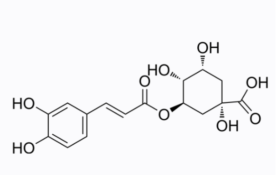 Chlorogenic acid Gԭ 