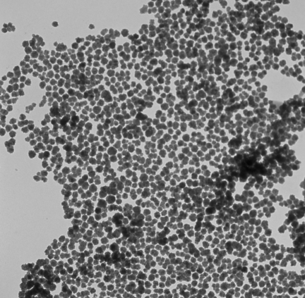 USPIO 혴F{w Fe3O4 Magnetic nanoparticles ƺϳ