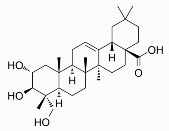 cas:465-00-9 Arjunolic acid 