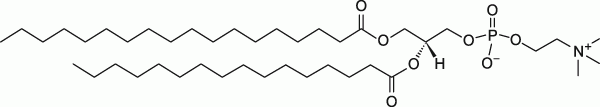 18:0-16:0 PC|1-stearoyl-2-palmitoyl-sn-glycero-3-phosphocholine|PC֬