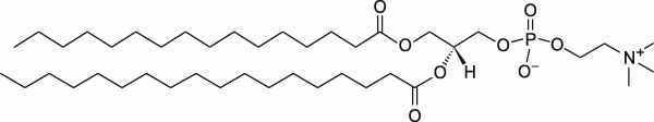16:0-18:0 PC|1-palmitoyl-2-stearoyl-sn-glycero-3-phosphocholine|PC֬