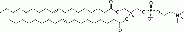 18:1 (9-Trans) PC|1,2-dielaidoyl-sn-glycero-3-phosphocholine
