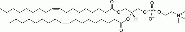 18:1 (9-Cis) PC (DOPC)|1,2-dioleoyl-sn-glycero-3-phosphocholine