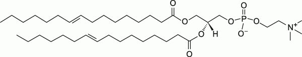 16:1 (9-Trans) PC|1,2-dipalmitelaidoyl-sn-glycero-3-phosphocholine|PC֬