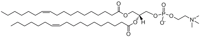 18:1(11-cis) PC|1,2-divaccenoyl -sn-glycero-3-phosphocholine|PC֬