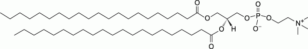 21:0 PC|1,2-diheneicosanoyl-sn-glycero-3-phosphocholine|PC֬