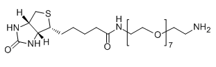 Biotin-PEG7-NH21334172-76-7-߾Ҷ-
