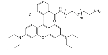 RB-PEG-NH2Rhodamine B-PEG-Amine_B-Ҷ-