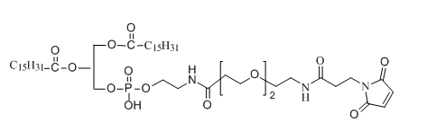 DPPE-PEG2-NH-Mal(yng)t(y)W(xu)о