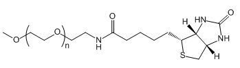 mPEG-BiotinҶؑ(yng)t(y)W(xu)о