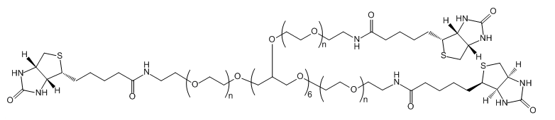 8-ArmPEG-Biotin˱۾Ҷ-صĽB