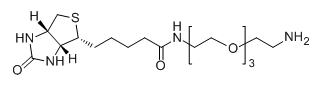 Biotin-PEG3-NH2359860-27-8-Ҷ-