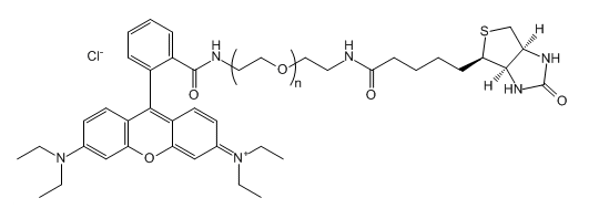 RB-PEG-Biotin_B-Ҷ-Rhodamine B-PEG-Biotin