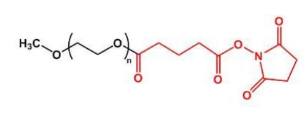 mPEG-SGҶmPEG-Succinimidyl Glutarate ester