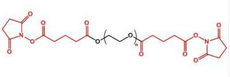 SG-PEG-SGҶSuccinimidyl Glutarate ester-PEG-Succinimidyl Glutarate ester