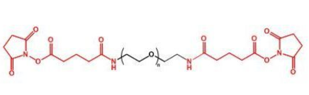 GAS-PEG-GASҶGlutaramide Succinimidyl ester-PEG-Glutaramide