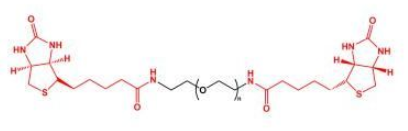 Biotin-PEG-BiotinؾҶBN-PEG-BN