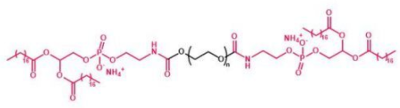 DSPE-PEG-DSPE֬Ҷ֬PEG֬