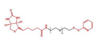 Biotin-PEG-OPSSؾҶOPSS-PEG-Biotin