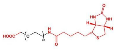 COOH-PEG-BiotinȻҶأ Biotin-PEG-COOH