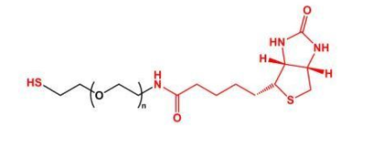 SH-PEG-BiotinҶBiotin-PEG-SH