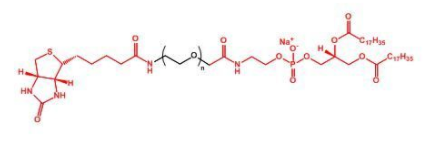 Biotin-PEG-DSPEؾҶ֬DSPE-PEG-Biotin