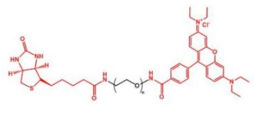Biotin-PEG-RhodamineؾҶ_RB-PEG-Biotin