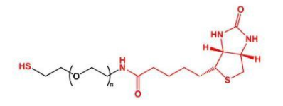 SH-PEG-BiotinҶBiotin-PEG-SH