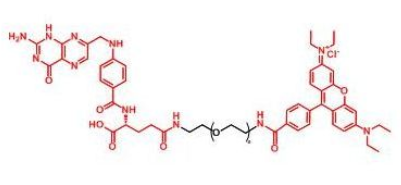 RB-PEG-FA_Ҷ~Folate-PEG-RB