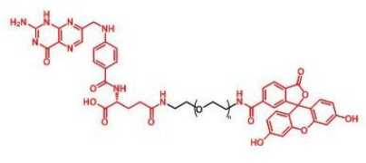 FITC-PEG-FAɹؾҶ~Folate-PEG-FITC