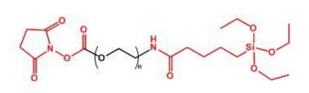 NHS-PEG-SilaneҶSilane-PEG-NHS